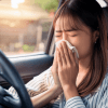 くしゃみをしている女性ペーパードライバー